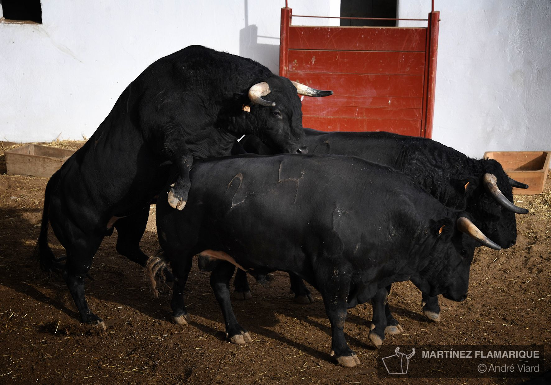 Sorteo. Palencia, domingo 1 de septiembre de 2019