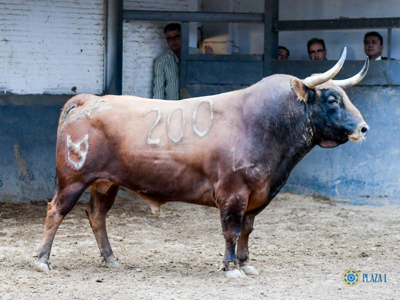 Sorteo. Madrid, domingo 29 de septiembre de 2019