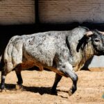 Sorteo. Madrid, domingo 1 de septiembre de 2019