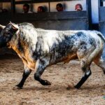 Sorteo. Madrid, domingo 1 de septiembre de 2019