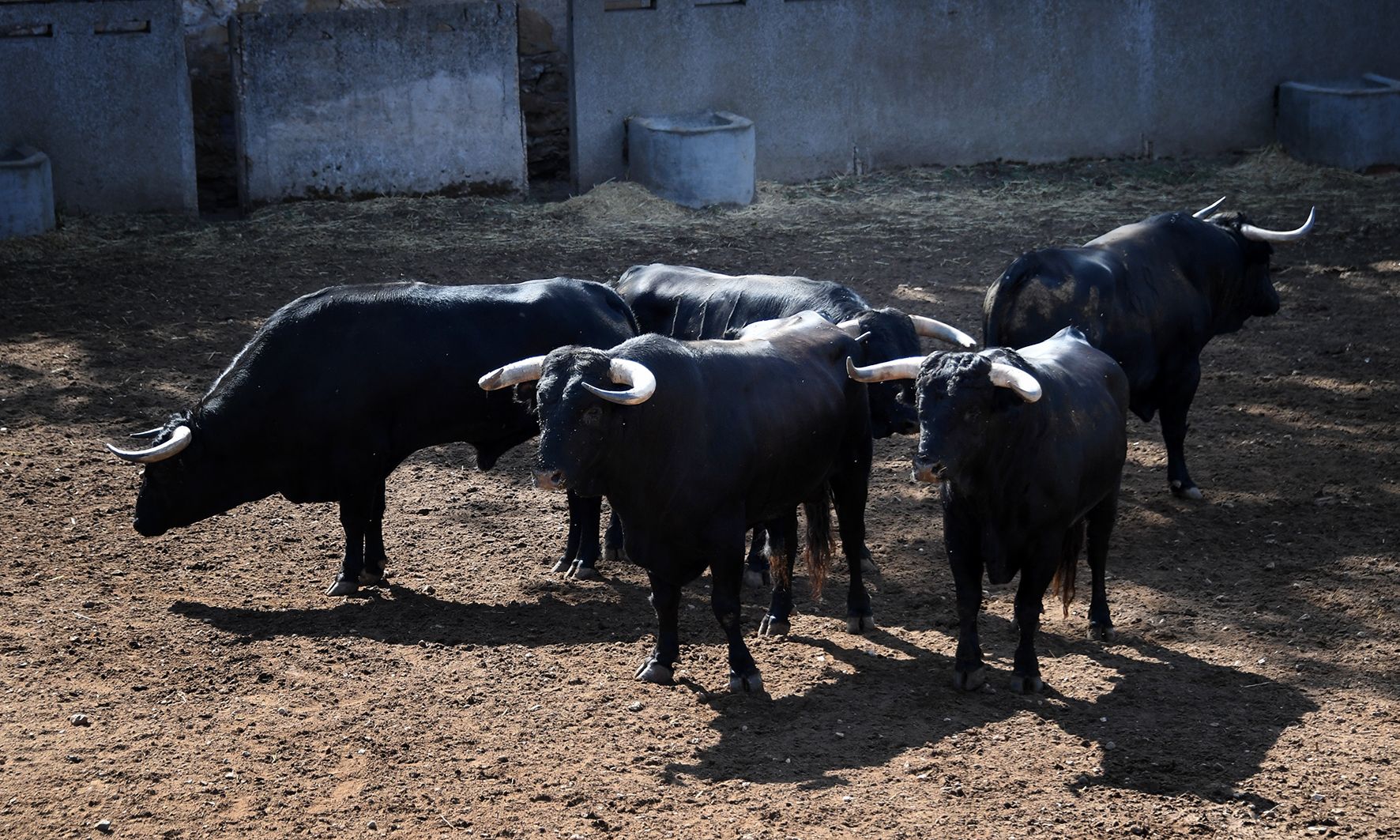 Sorteo. Salamanca, 14 de septiembre de 2019