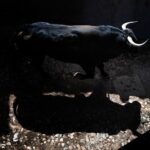 Sorteo. Salamanca, 14 de septiembre de 2019