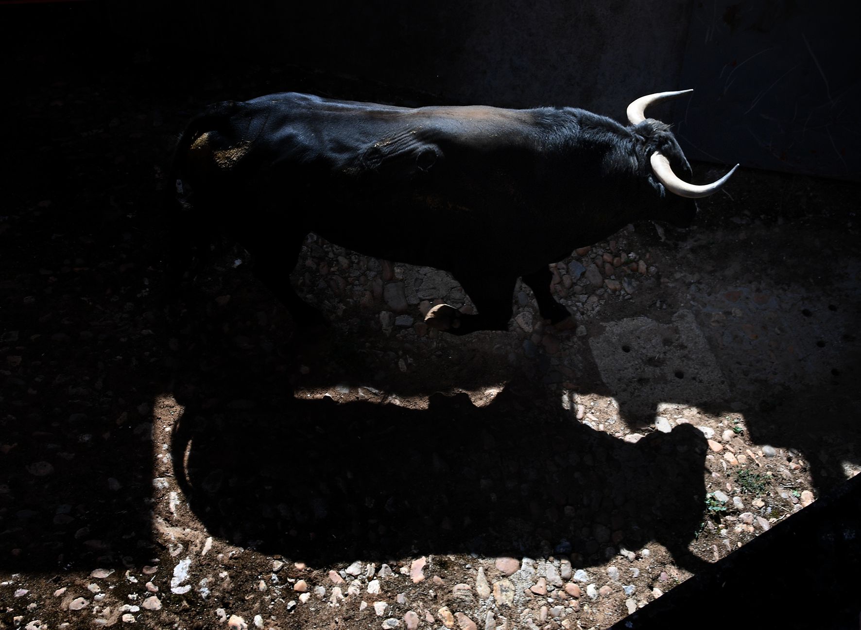 Sorteo. Salamanca, 14 de septiembre de 2019