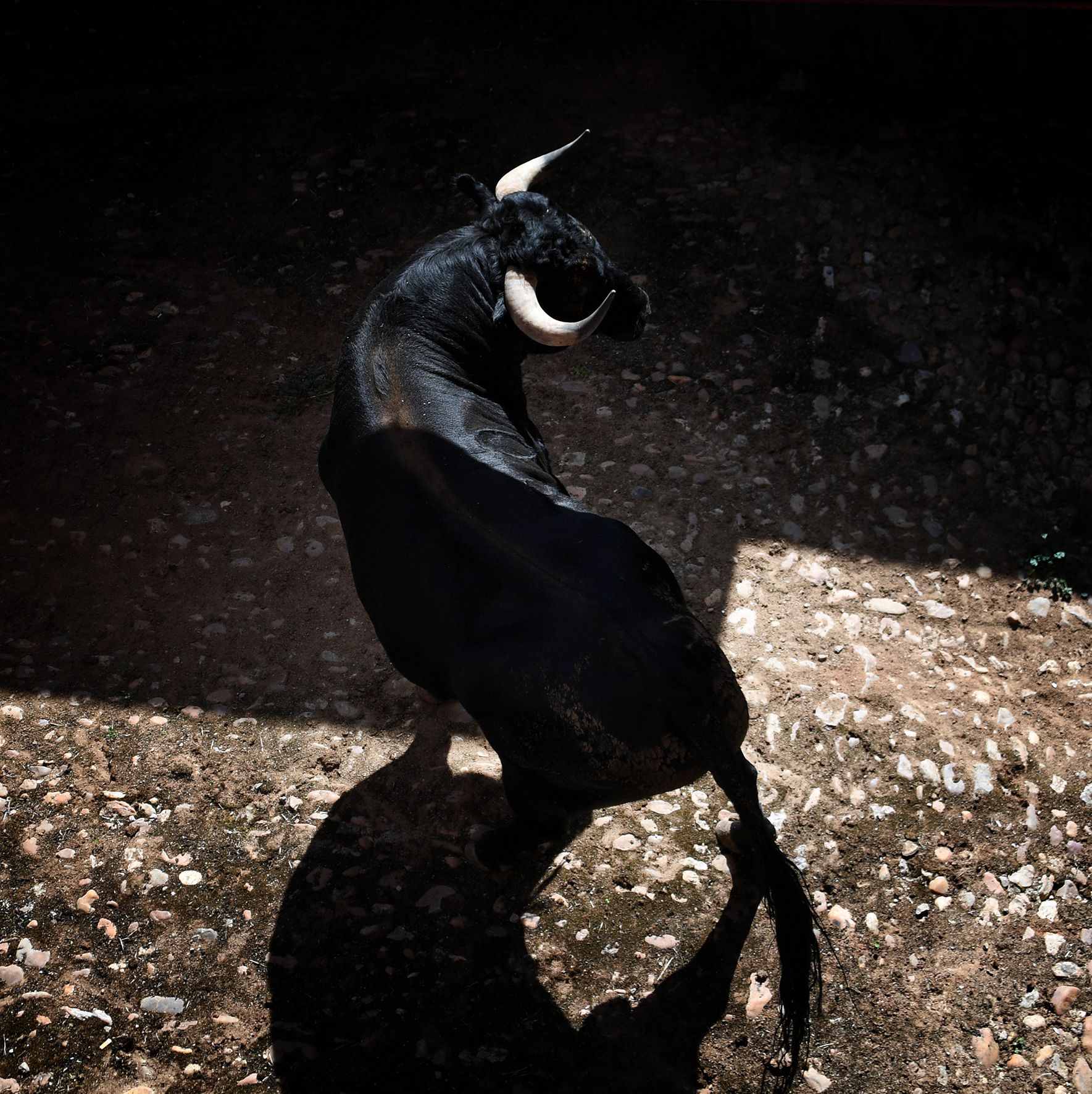 Sorteo. Salamanca, 14 de septiembre de 2019