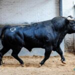 Sorteo. Madrid, sábado 28 de septiembre de 2019