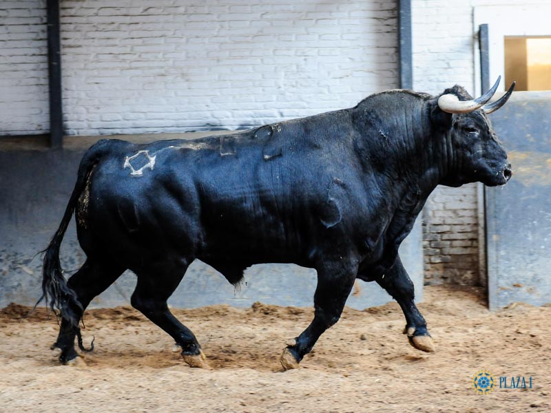 Sorteo. Madrid, sábado 28 de septiembre de 2019