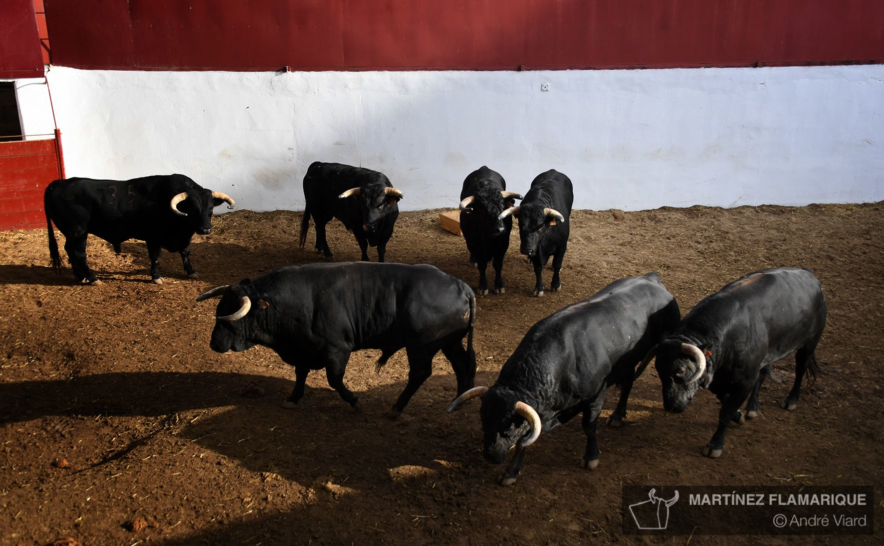 Sorteo. Palencia, domingo 1 de septiembre de 2019