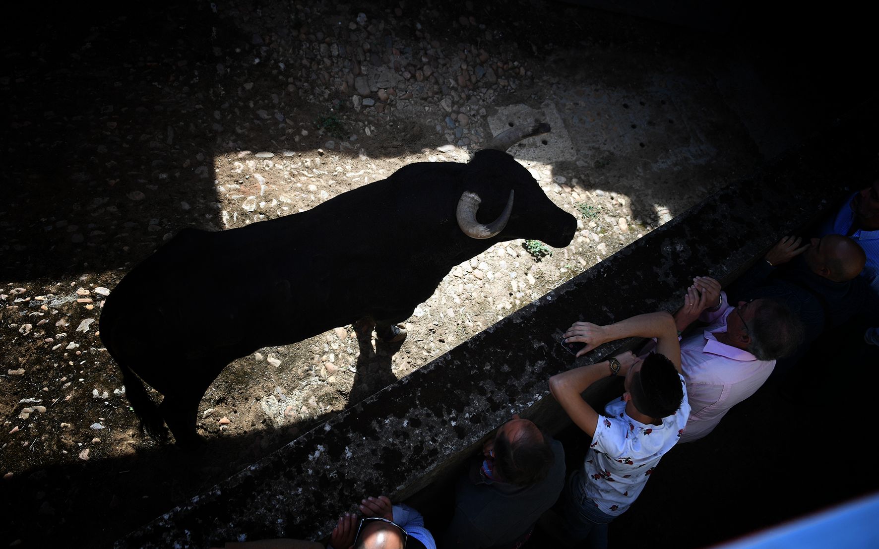 Sorteo. Salamanca, 14 de septiembre de 2019