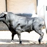 Sorteo. Madrid, domingo 1 de septiembre de 2019