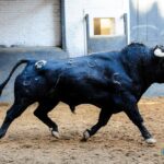 Sorteo. Madrid, sábado 28 de septiembre de 2019