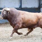 Sorteo. Madrid, domingo 29 de septiembre de 2019