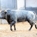 Sorteo. Madrid, domingo 8 de septiembre de 2019