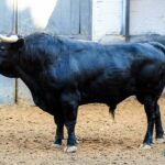 Sorteo. Madrid, sábado 28 de septiembre de 2019