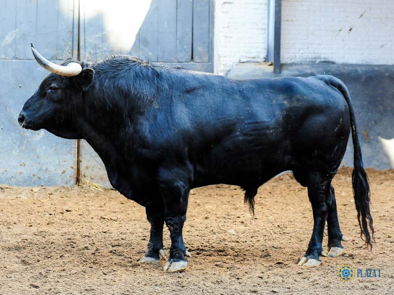 Sorteo. Madrid, sábado 28 de septiembre de 2019