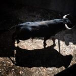 Sorteo. Salamanca, 14 de septiembre de 2019