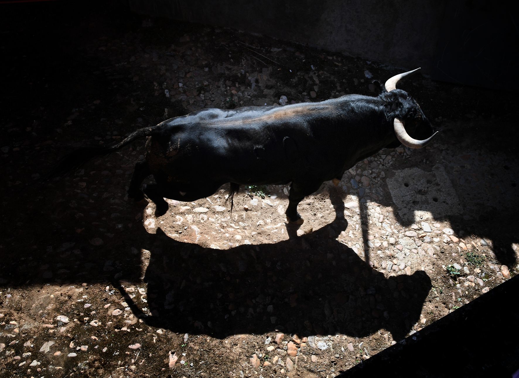 Sorteo. Salamanca, 14 de septiembre de 2019