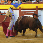 Algemesí, viernes 27 de septiembre de 2019