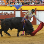 Algemesí, viernes 27 de septiembre de 2019