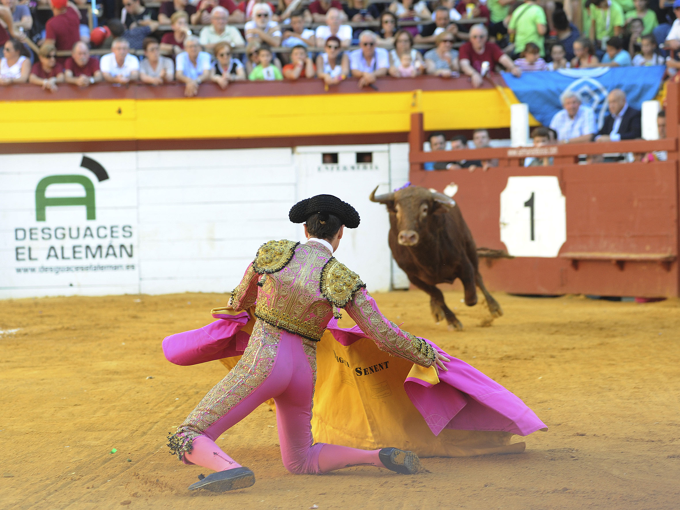Algemesí, sábado 28 de septiembre de 2019