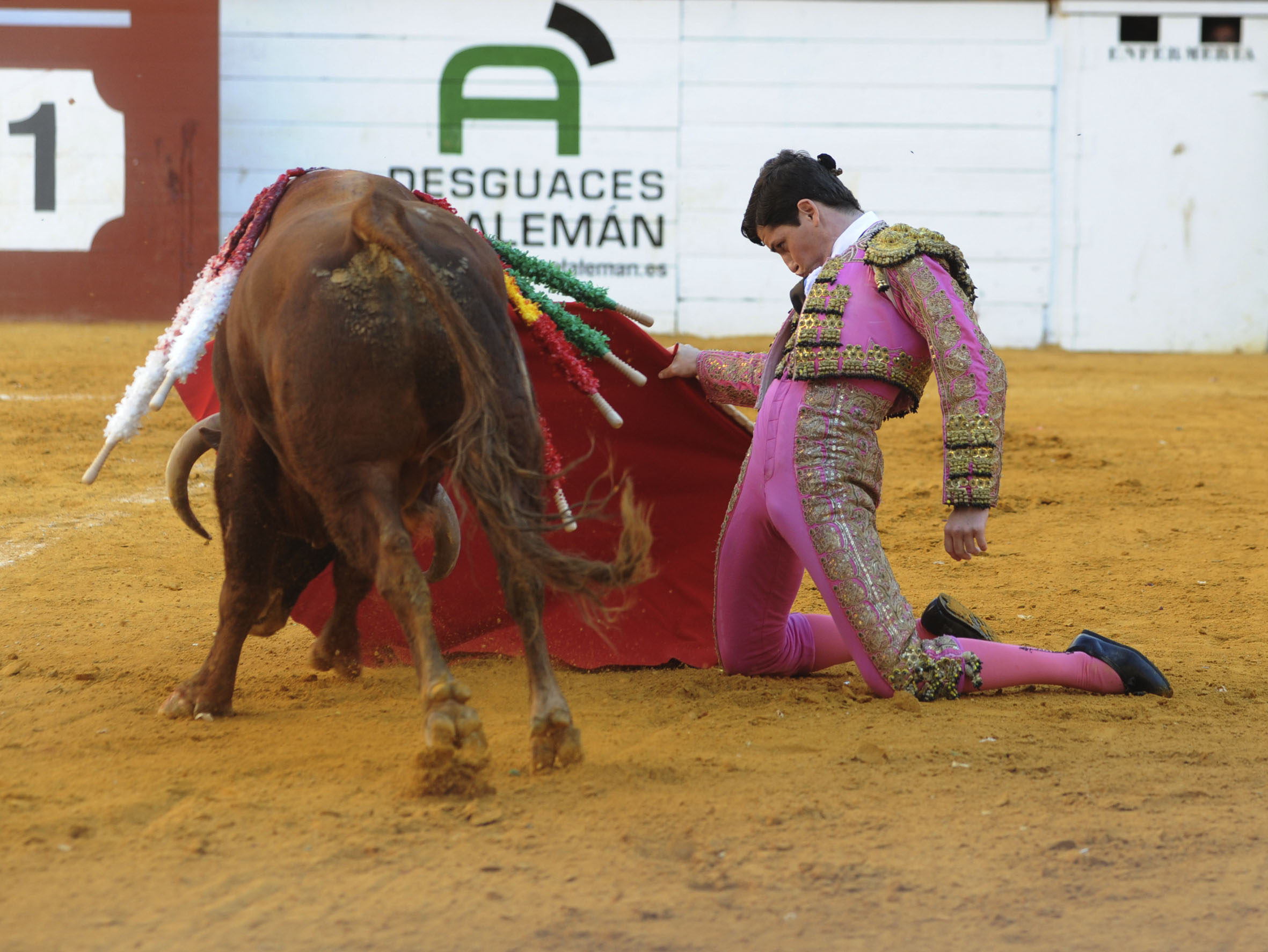Algemesí, sábado 28 de septiembre de 2019