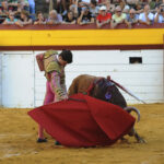 Algemesí, sábado 28 de septiembre de 2019