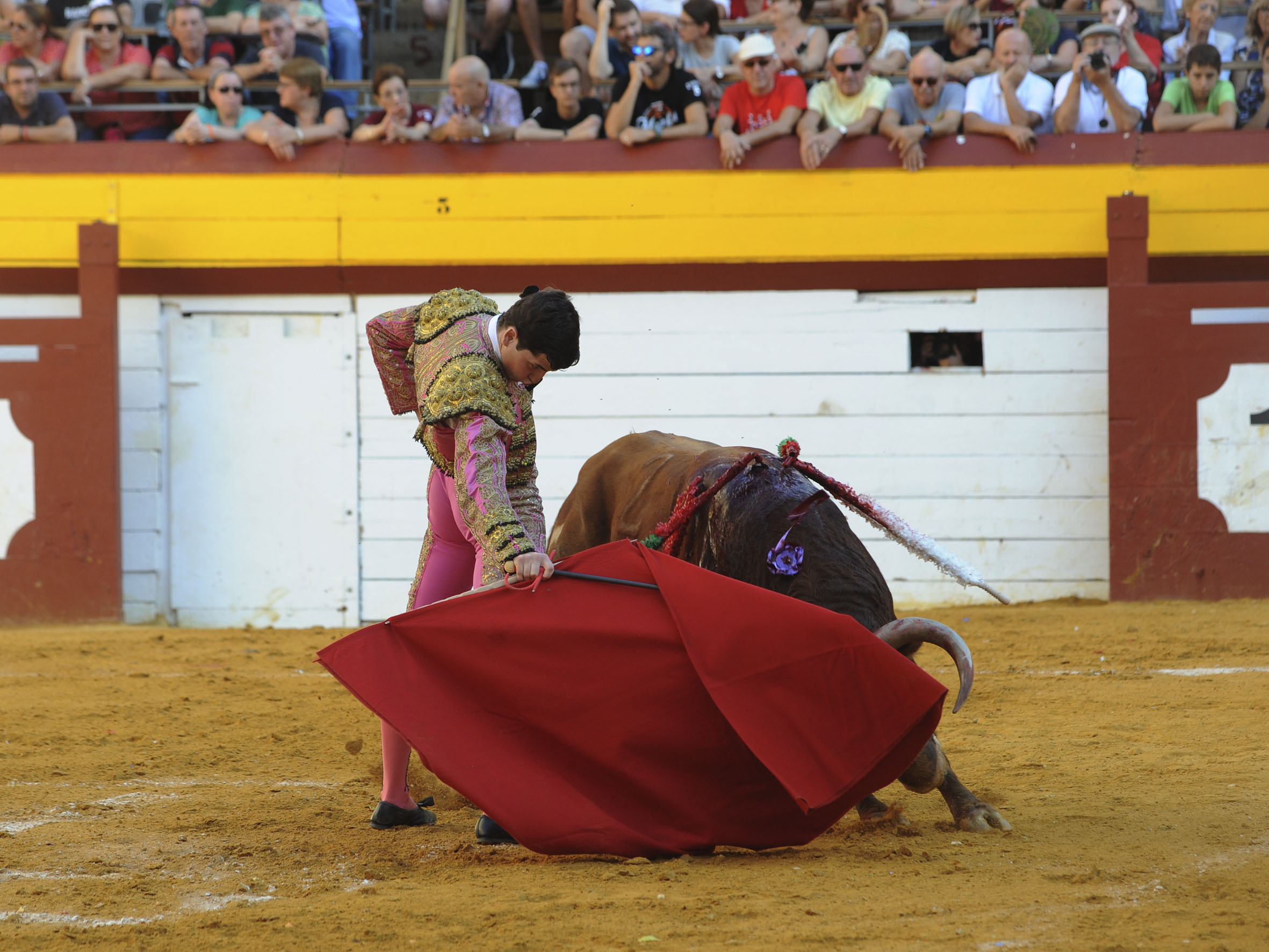 Algemesí, sábado 28 de septiembre de 2019