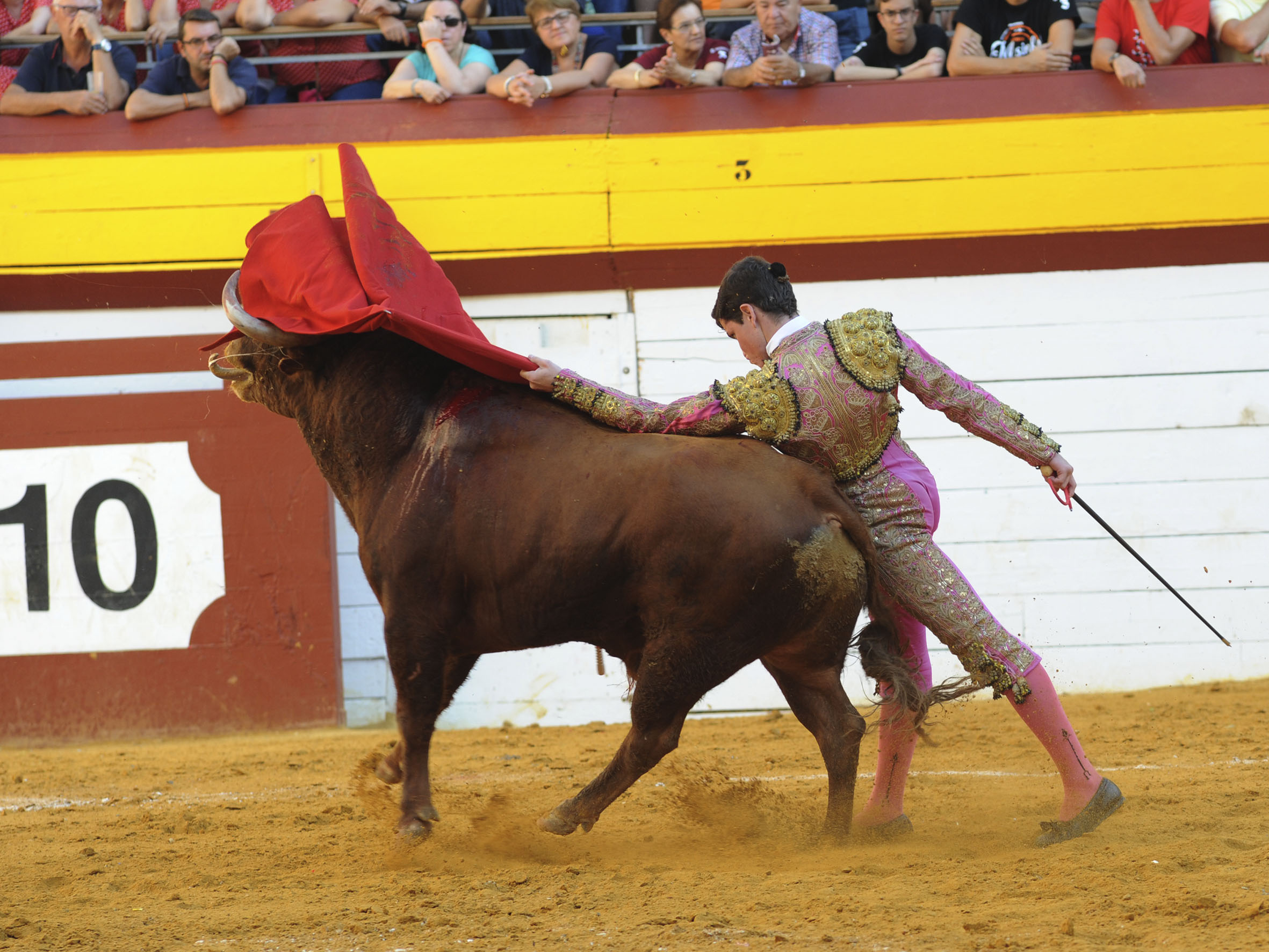 Algemesí, sábado 28 de septiembre de 2019