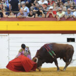 Algemesí, sábado 28 de septiembre de 2019