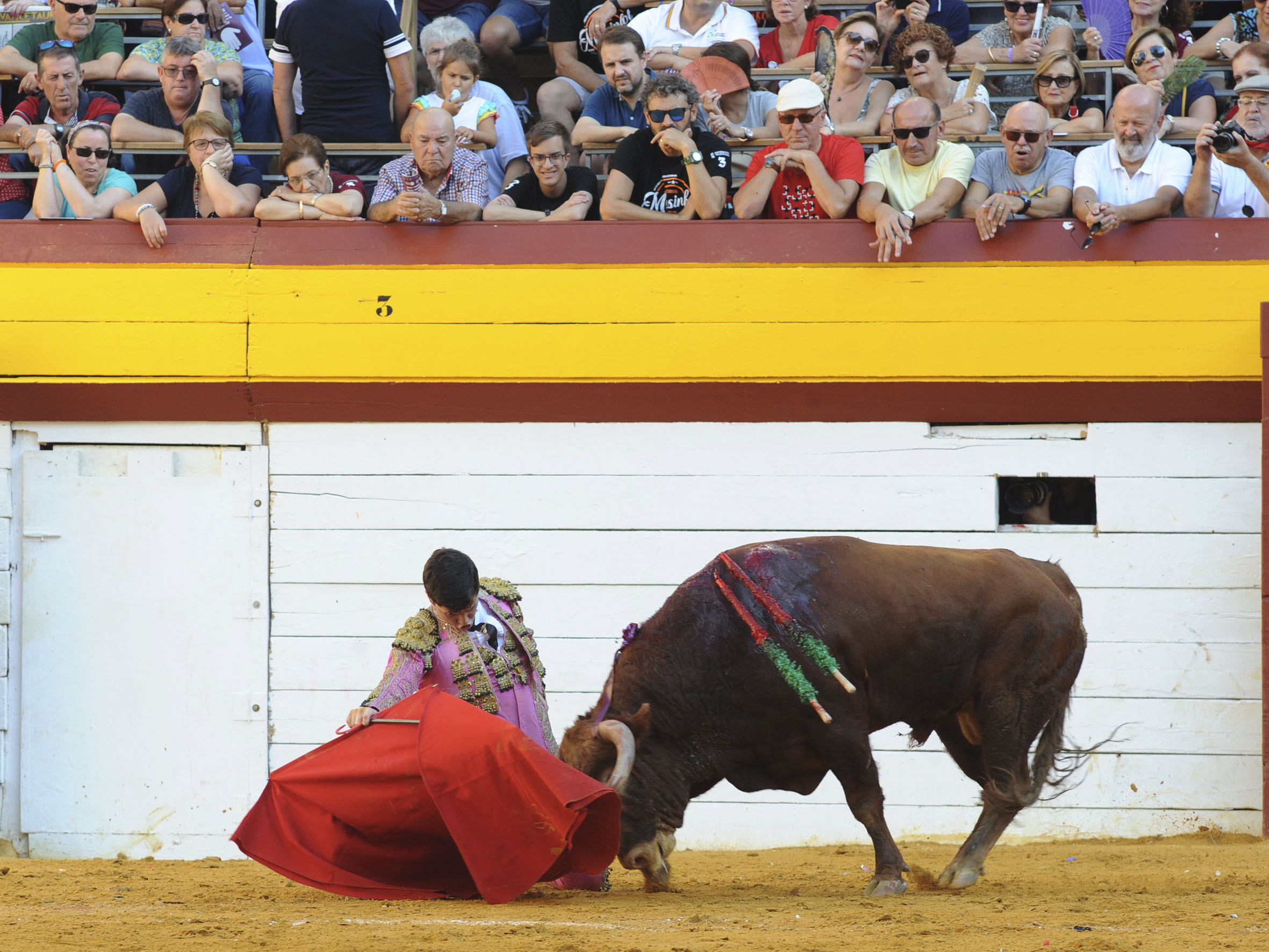Algemesí, sábado 28 de septiembre de 2019