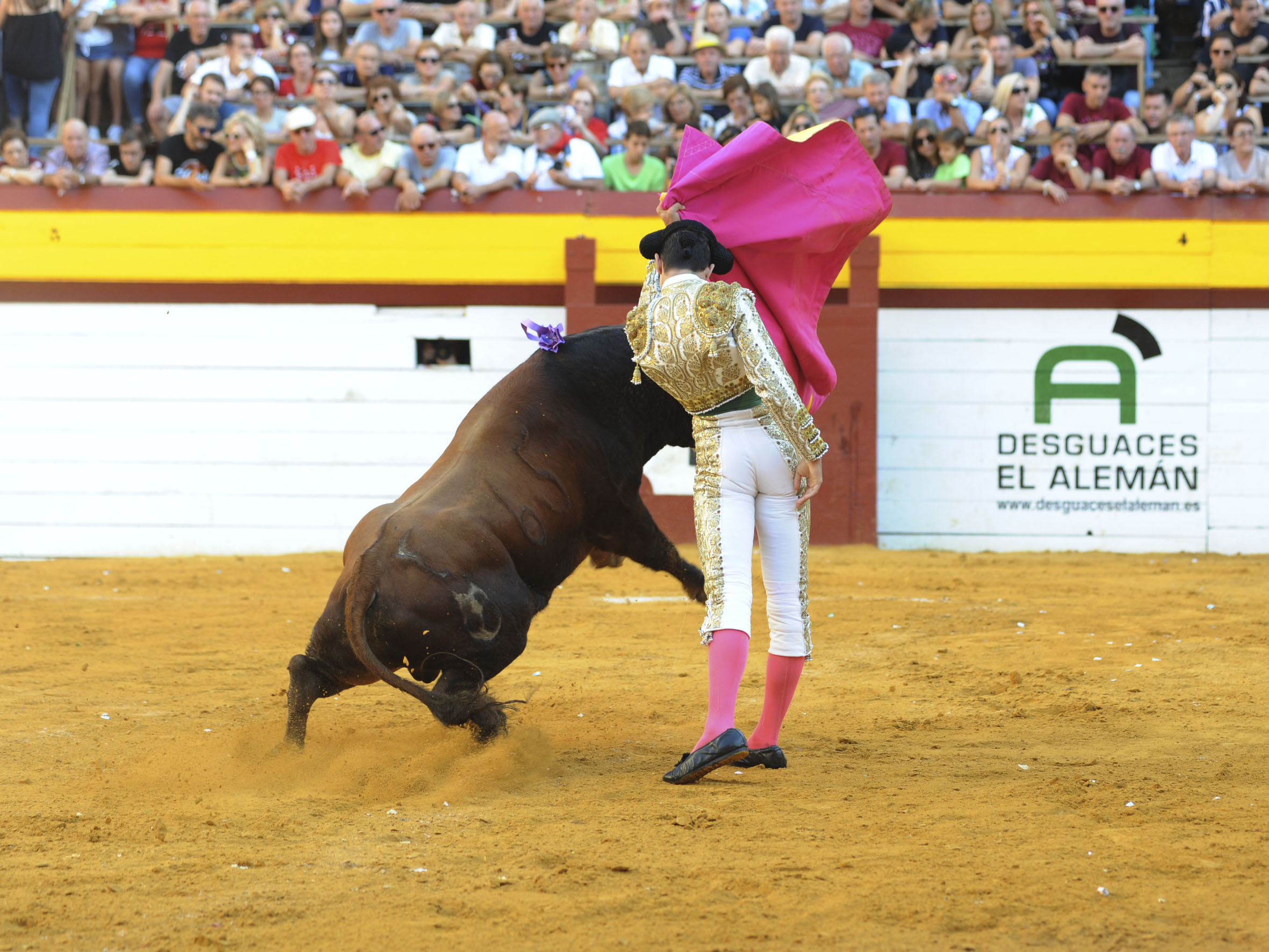 Algemesí, sábado 28 de septiembre de 2019