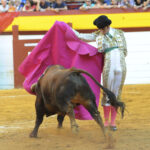 Algemesí, sábado 28 de septiembre de 2019