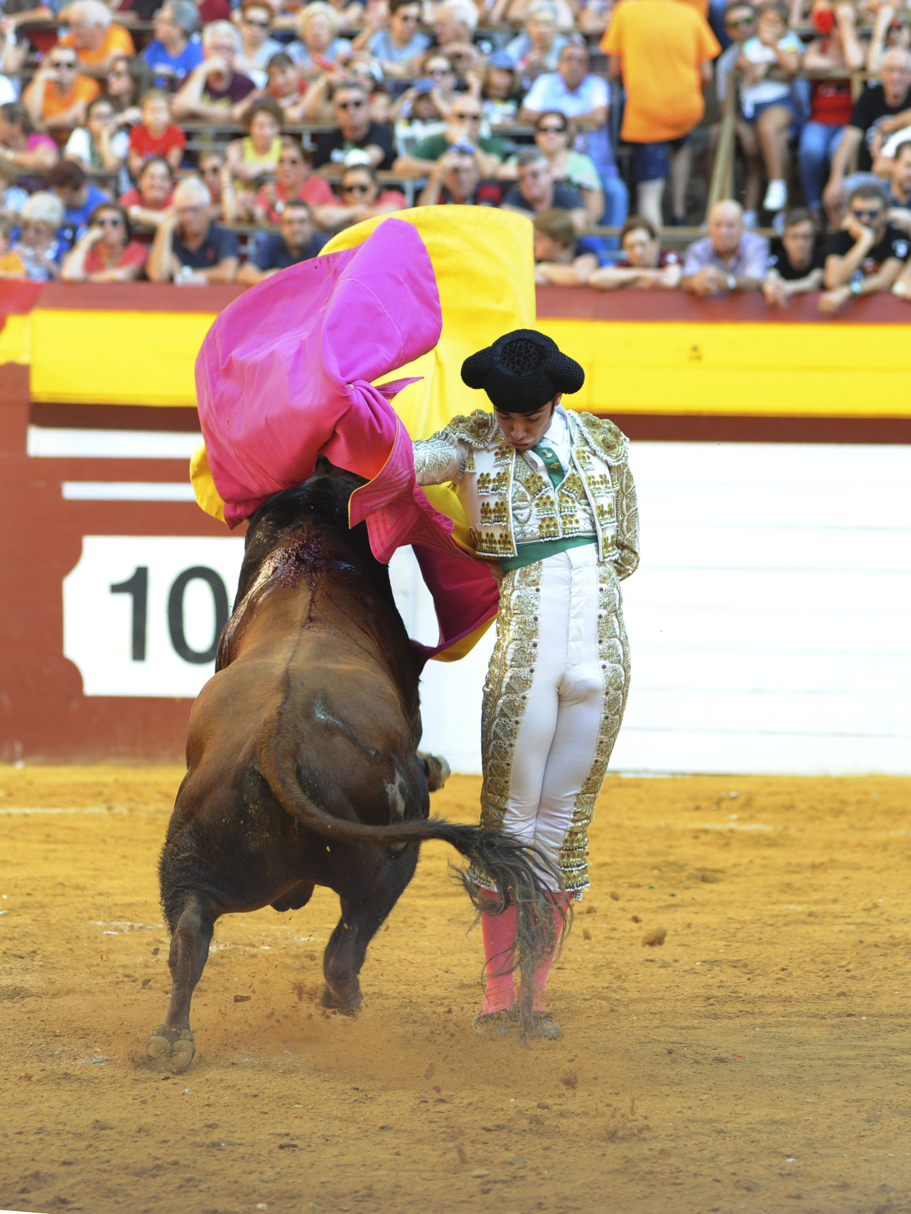 Algemesí, sábado 28 de septiembre de 2019