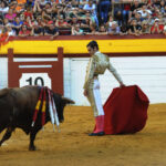 Algemesí, sábado 28 de septiembre de 2019