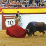 Algemesí, sábado 28 de septiembre de 2019