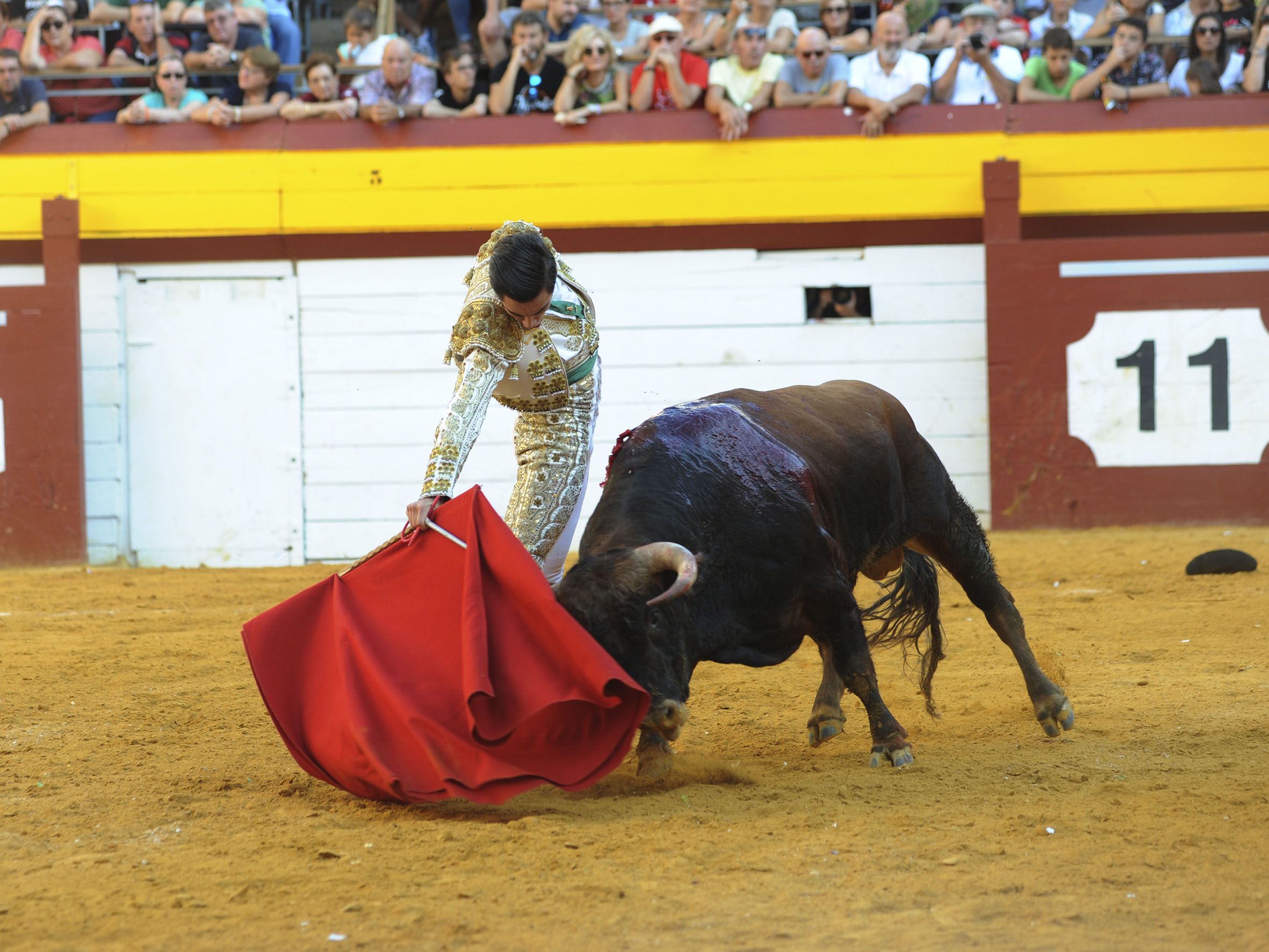 Algemesí, sábado 28 de septiembre de 2019