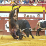 Algemesí, sábado 28 de septiembre de 2019