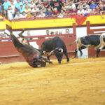 Algemesí, sábado 28 de septiembre de 2019