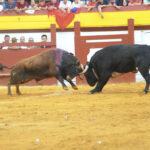 Algemesí, sábado 28 de septiembre de 2019