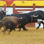 Algemesí, sábado 28 de septiembre de 2019
