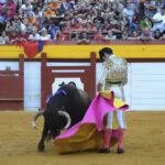 Algemesí, sábado 28 de septiembre de 2019