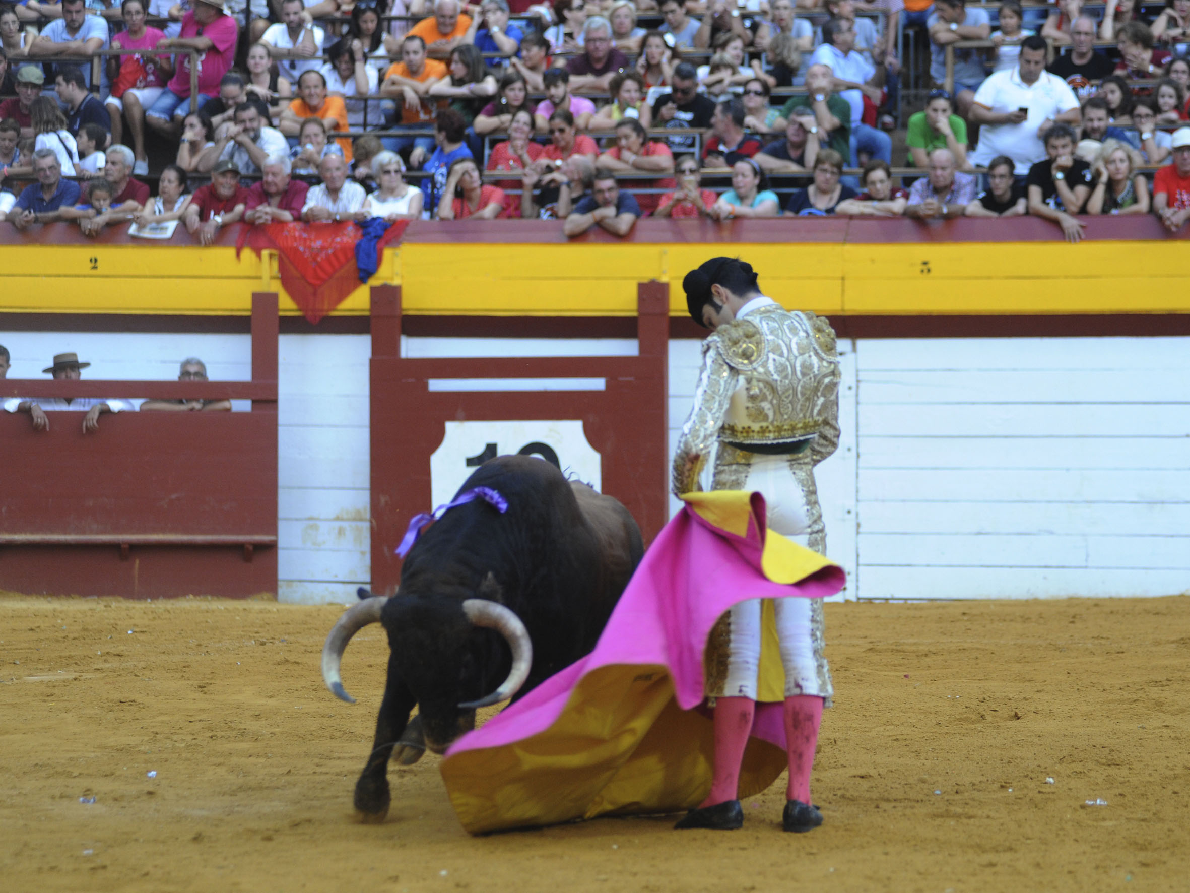 Algemesí, sábado 28 de septiembre de 2019
