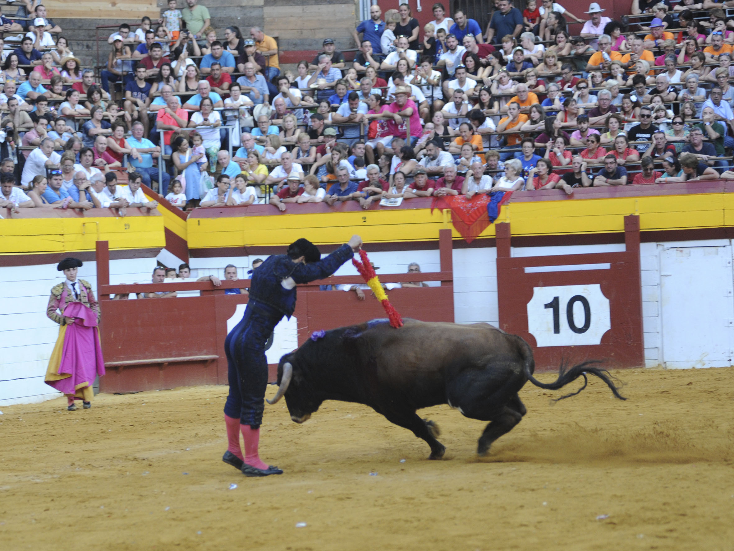 Algemesí, sábado 28 de septiembre de 2019