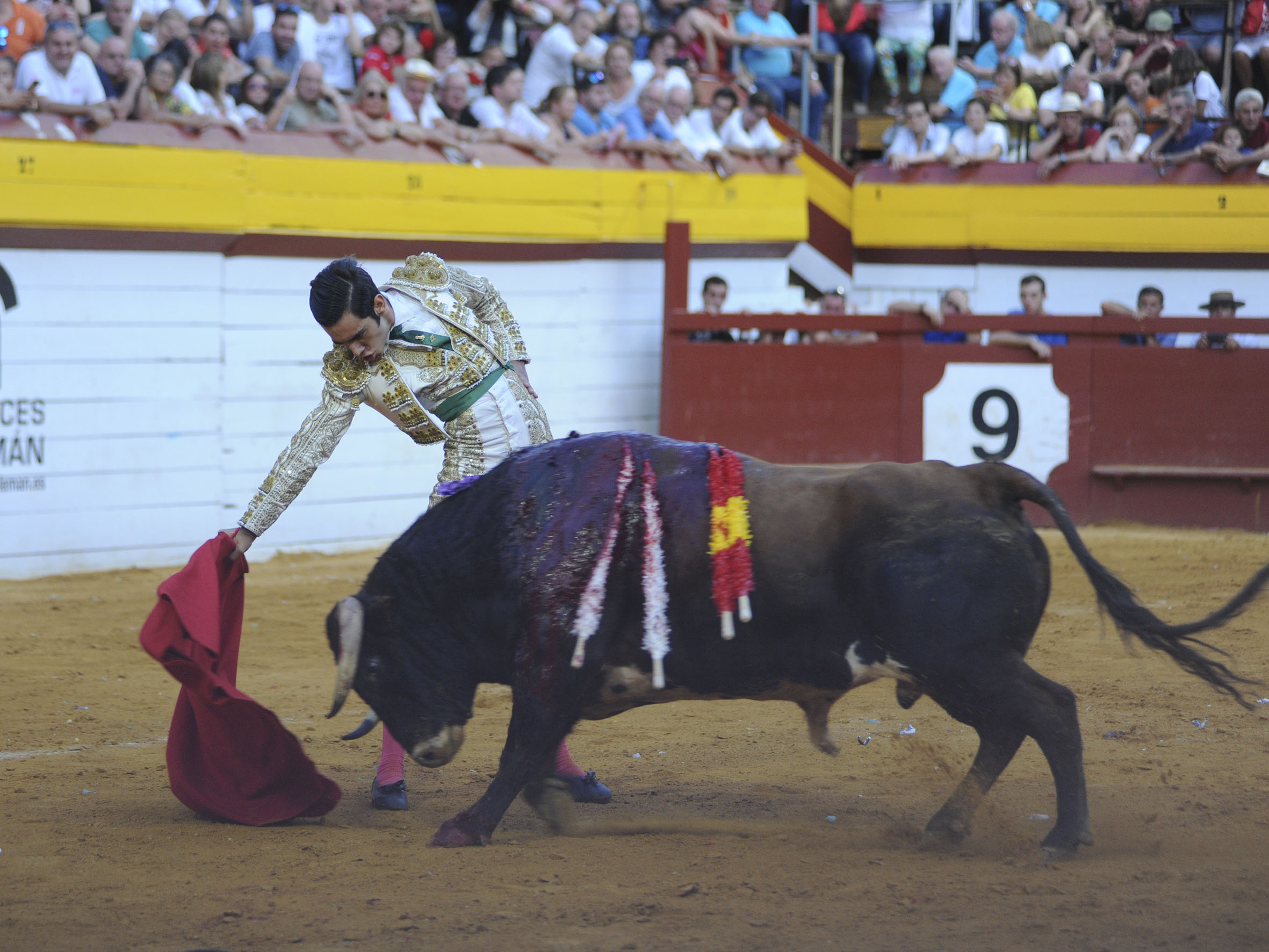 Algemesí, sábado 28 de septiembre de 2019