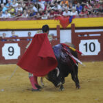 Algemesí, sábado 28 de septiembre de 2019