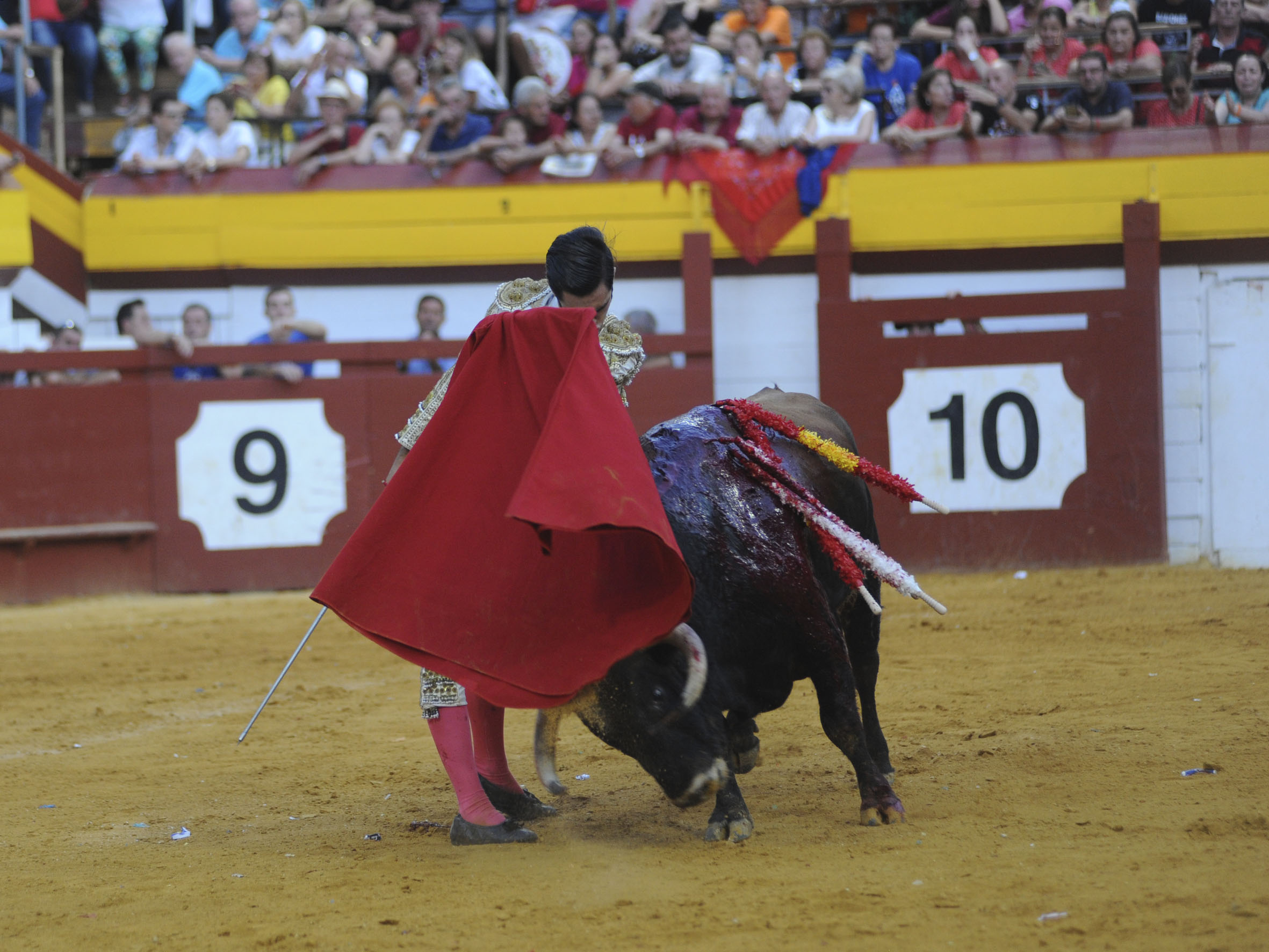 Algemesí, sábado 28 de septiembre de 2019