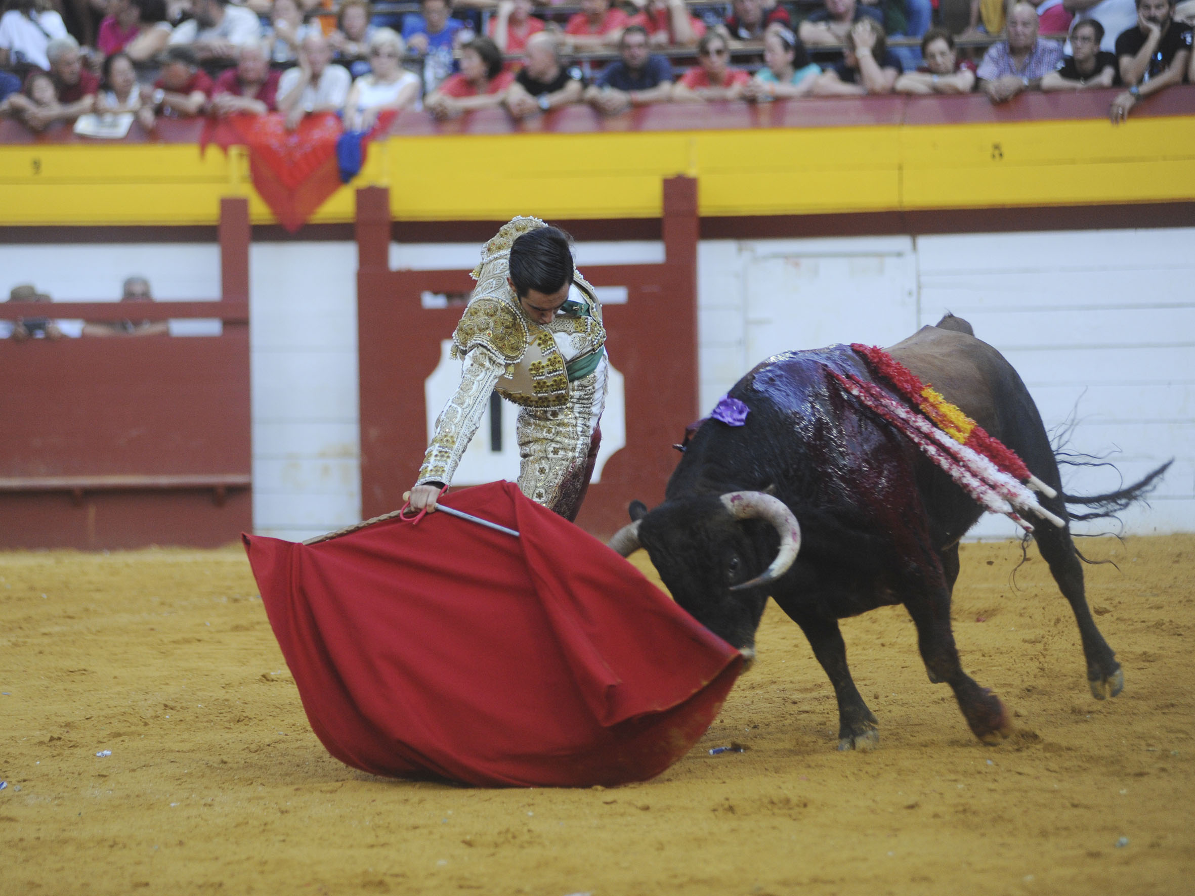 Algemesí, sábado 28 de septiembre de 2019