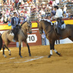 Algemesí, domingo 29 de septiembre de 2019