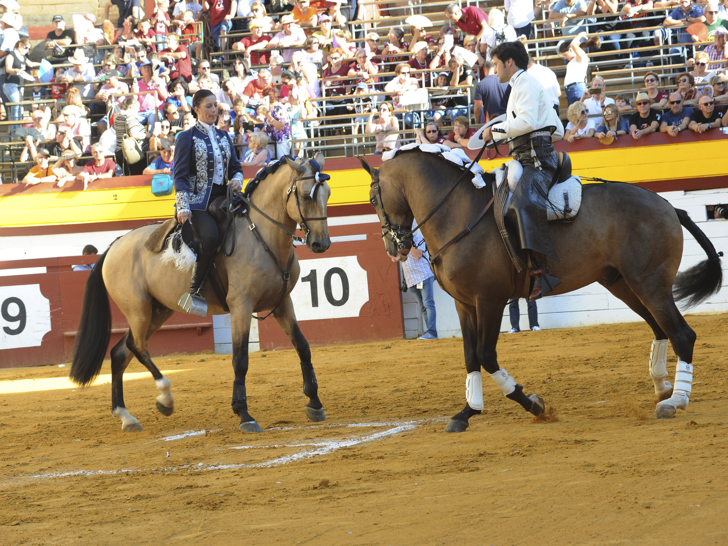 Algemesí, domingo 29 de septiembre de 2019