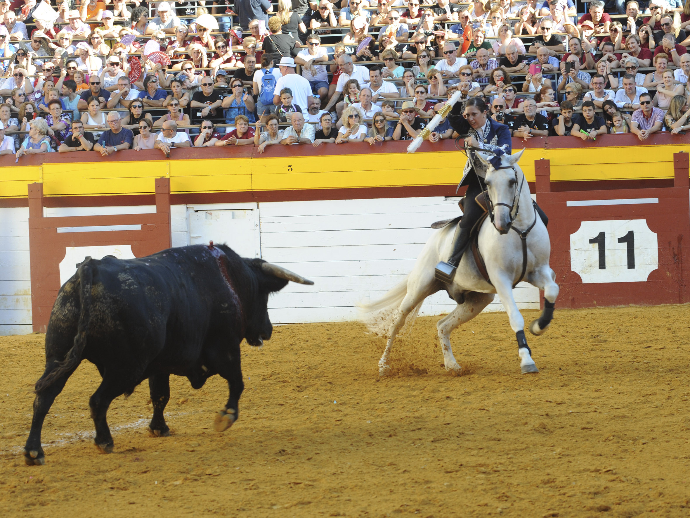 Algemesí, domingo 29 de septiembre de 2019