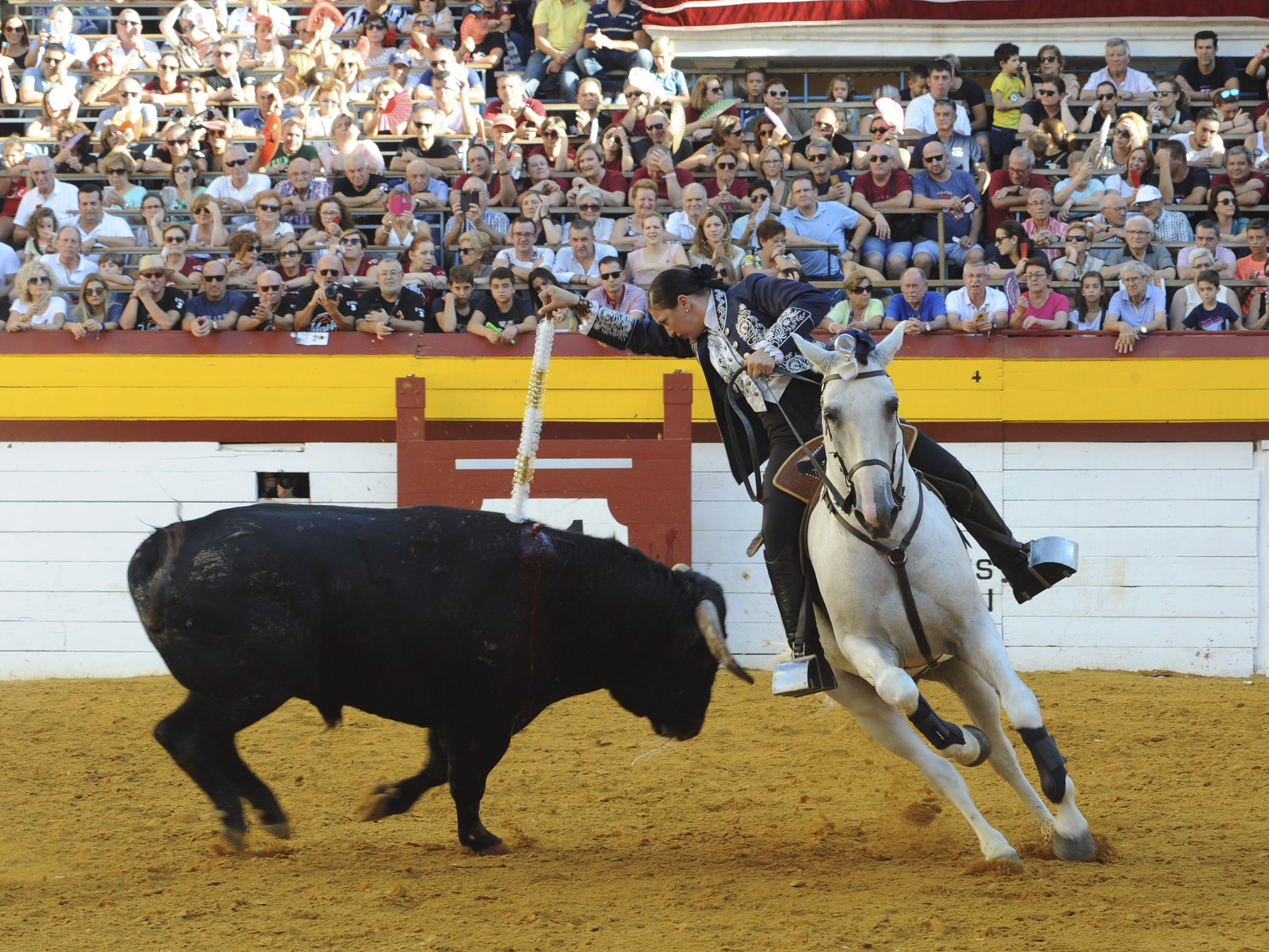 Algemesí, domingo 29 de septiembre de 2019